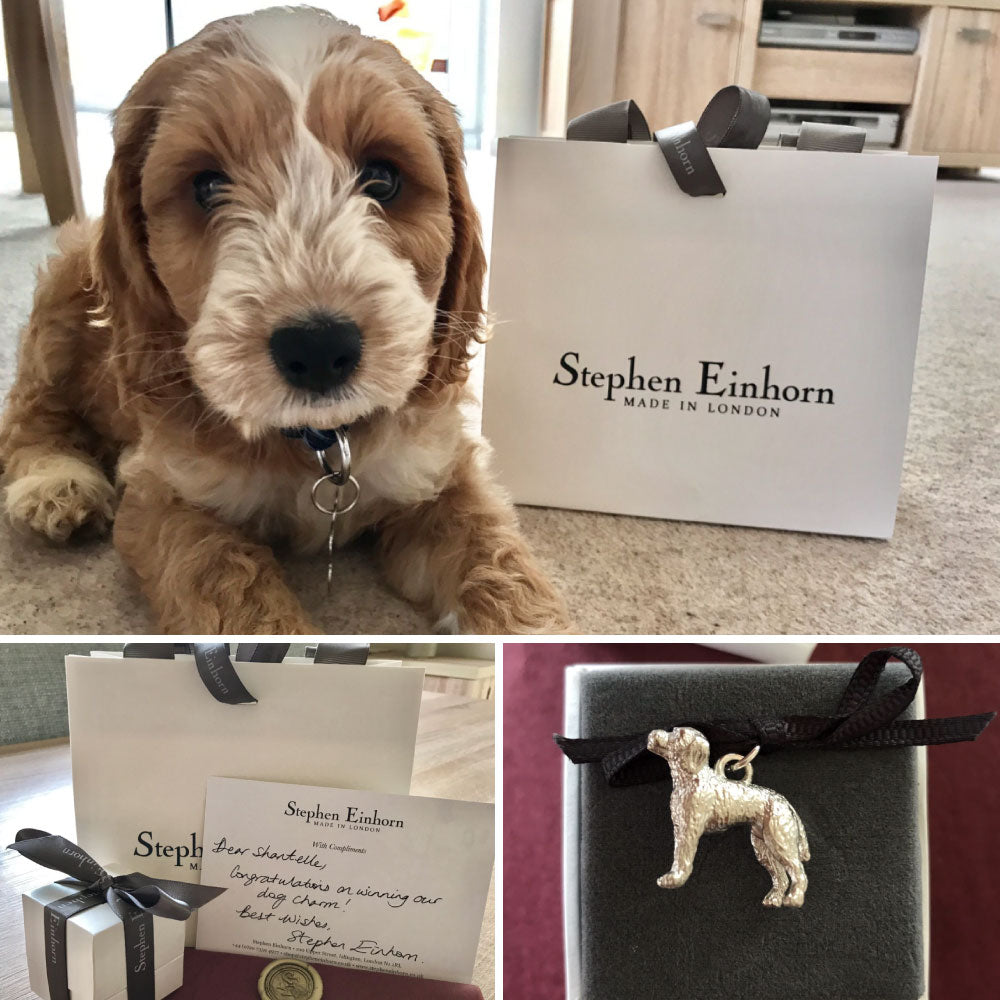 Cockapoo puppy beside a Stephen Einhorn gift bag, with a handwritten congratulations card and a silver cockapoo charm