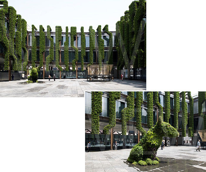 Building facade covered in columns of climbing plants, with a topiary dog in the courtyard
