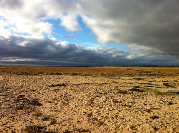 Wide sandy East Anglian shore under a big sky with sunlit breaks in heavy grey clouds