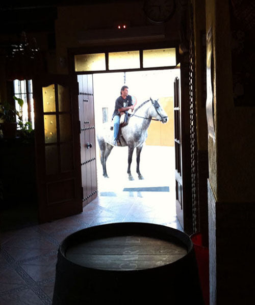 Man on a grey horse at the open door of a Spanish bar, seen from inside past a wine barrel