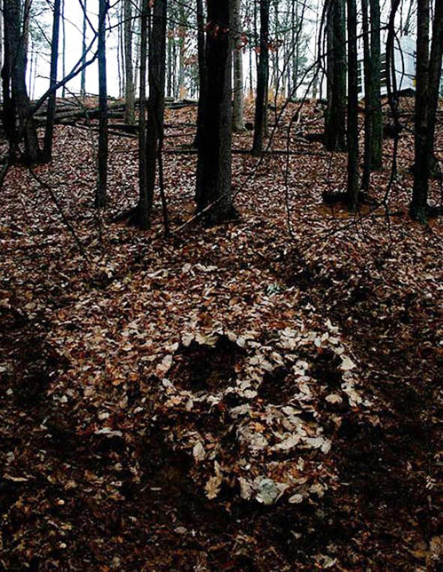 Skull shape laid out in pale fallen leaves on a woodland floor among bare trees