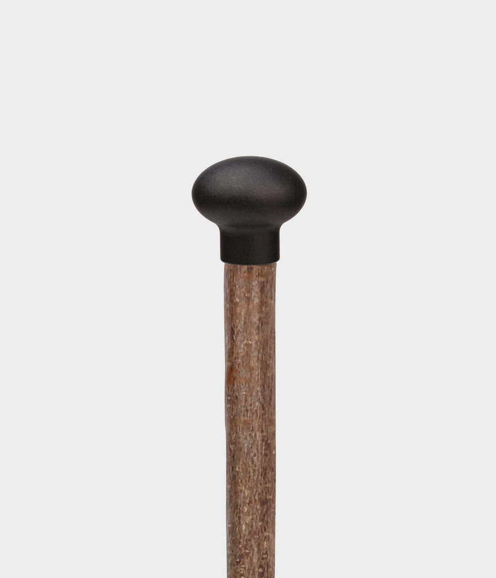 Bespoke Walking Stick in Buy One Walking Stick
